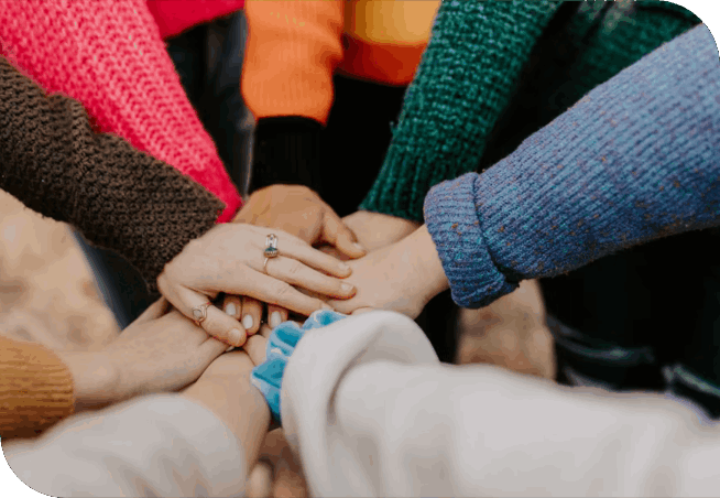 Наша команда