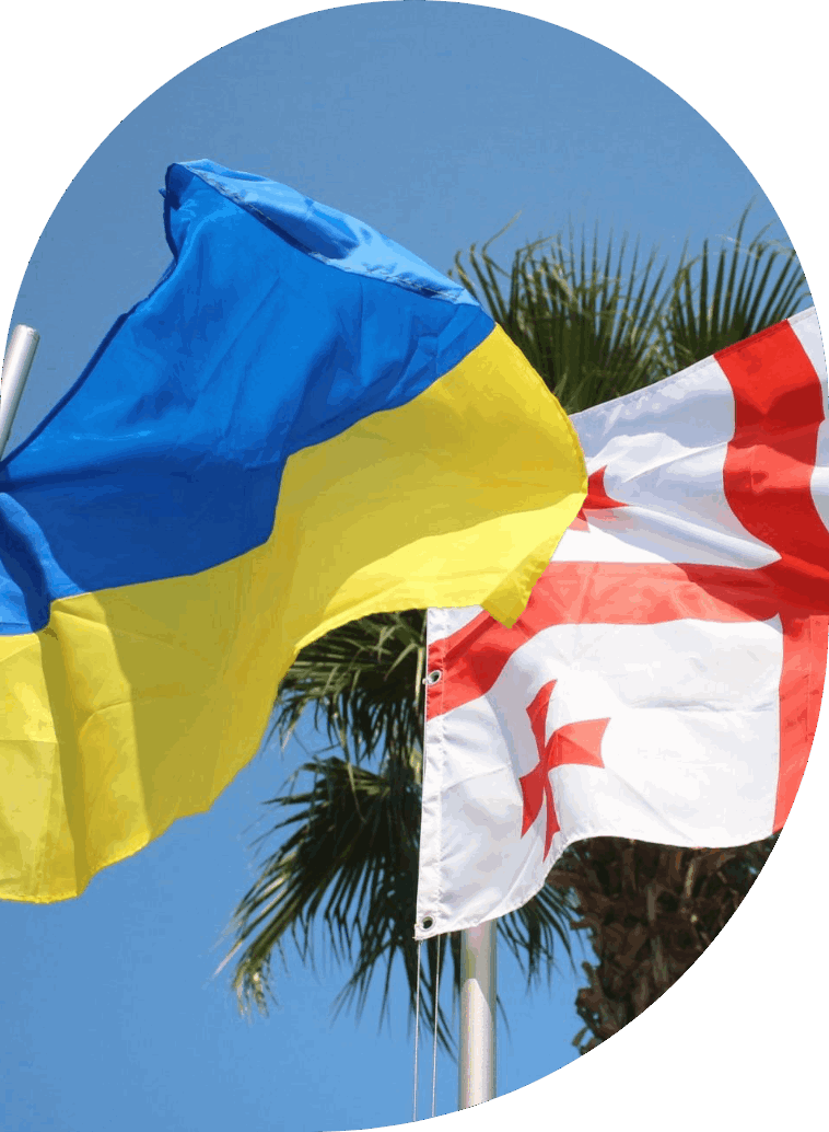 Громадська організація «Грузинська Душа»